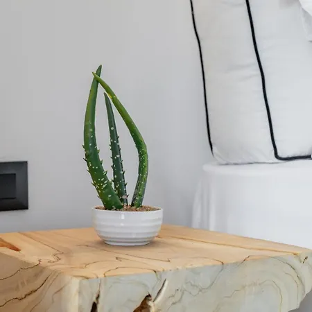 She Mykonos - Luxury Apartamento Mykonos Town